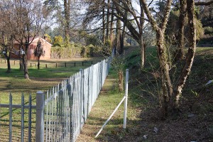 DSC_2123 | Steel and Pipes for Africa - Fencing | Tube | Automation of ...